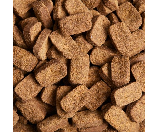 Daily Probiotic 160ct Pet Naturals