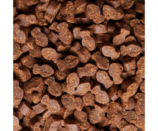 Daily Multi for Cats Pet Naturals