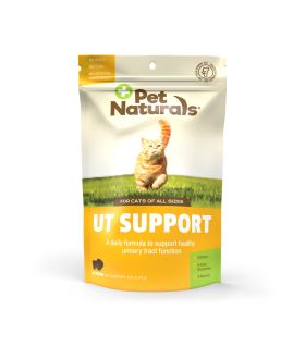 Front of the UT Support for Cats bag.