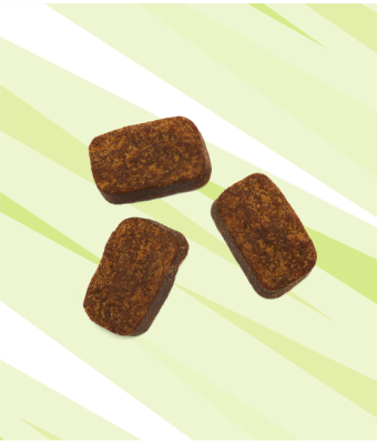 Daily Probiotic - 160ct