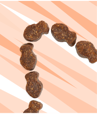 Daily Probiotic for Cats