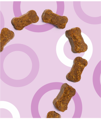 Superfood Treats - Peanut Butter