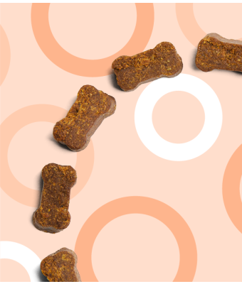 Superfood Treats - Chicken