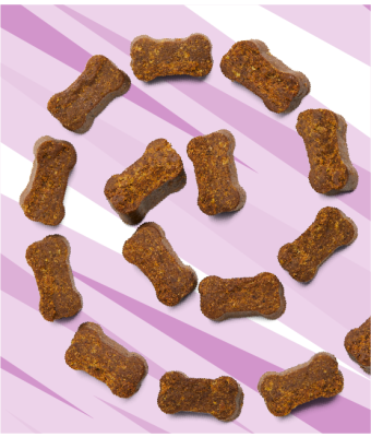 Daily Probiotic - 60ct