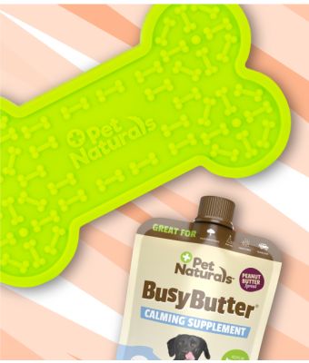 BusyButter® Calm & Busy Pack