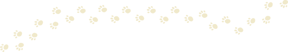 pet paw trail
