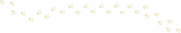 pet paw trail